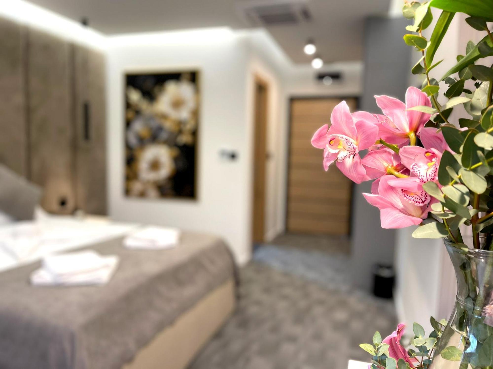 Hotel Npl Code Naselje Starosjedilaca Екстер'єр фото